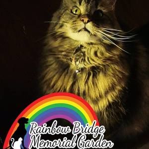 Meet your Posher, Cassie